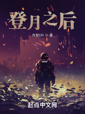 登月之后照片